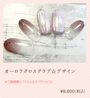 オーロラグロスグラデ☆デザイン ¥8,800（税込）
