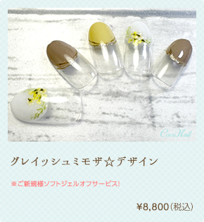 グレイッシュミモザ☆デザイン ¥8,800（税込）