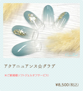 パールスノー☆フレンチ ¥7,700（税込）