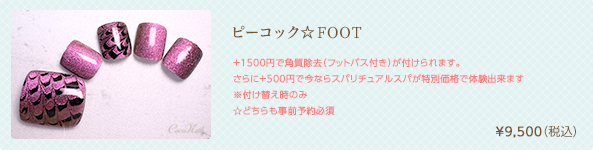 ピーコック☆FOOT　¥9,500（税込）