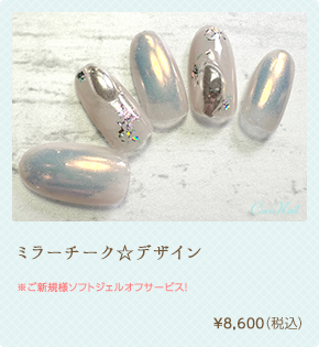 ミラーチーク☆デザイン ¥8,600（税込）