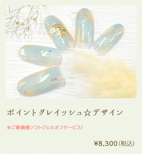 ポイントグレイッシュ☆デザイン　¥8,300（税込）