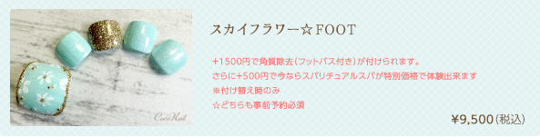 スカイフラワー☆FOOT　¥9,500（税込）