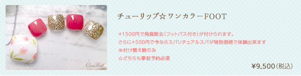 チューリップ☆ワンカラーFOOT　¥9,500（税込）