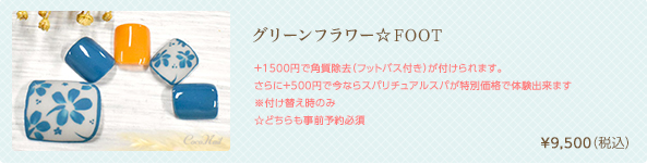 ホロシャワー☆FOOT　¥9,140（税込）