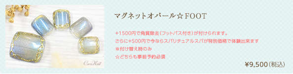 エレガントウェーブ☆FOOT　¥8,640（税込）