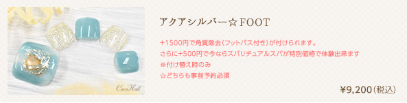 アクアシルバー☆FOOT　¥9,200（税込）