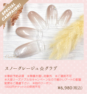 スノーグレージュ☆グラデ　¥6,980（税込）