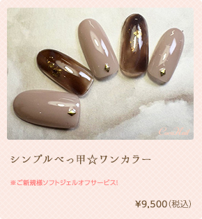 シンプルべっ甲☆ワンカラー ¥9,500（税込）